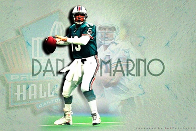 Miami Dolphins Dan Marino Wallpaper.jpg