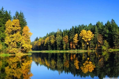 Fall Trees Reflection HD Desktop Wallpapers : High Definition ...