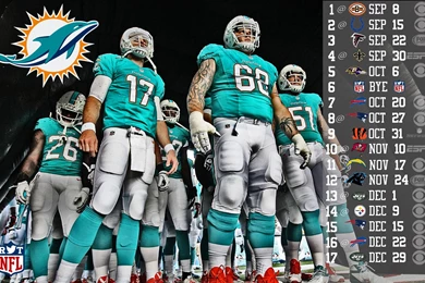 Miami Dolphins