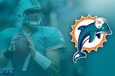 Wallpapers Nfl Miami Dolphins Logo 1440x900