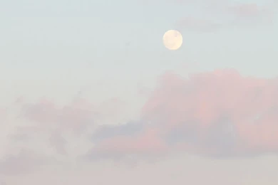 Gallery For   Pale Grunge Backgrounds Tumblr