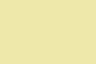 2048x2048 pale goldenrod solid color background.jpg