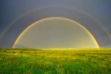 Double Rainbow Windows 8 Wallpaper.png