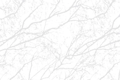 Nature Pattern Wallpapers / Paper / Contemporary ECO WHITE LIGHT ...