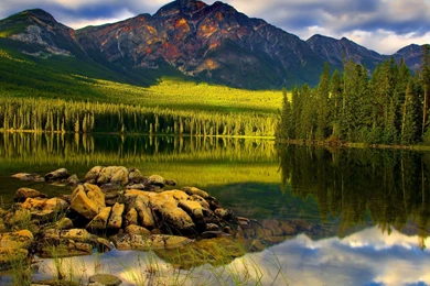 Amazing Views, Hd Wallpapers, Free Download Images, Sky, Plants ...