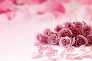 Pink Computer Wallpapers   Wallpapers Cave