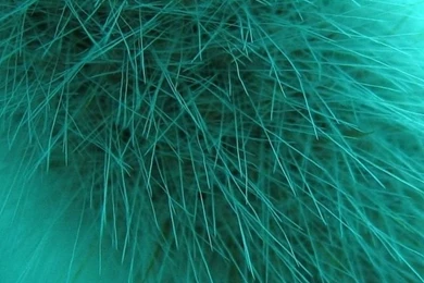 Beautiful iPhone 4 Wallpapers 0 640x960 Wallpapers, 640x960 ...