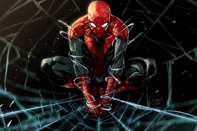 Spiderman Wallpapers HD Free Download