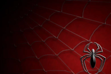 Wallpapers   Spider Man Fan Art (301798)   Fanpop