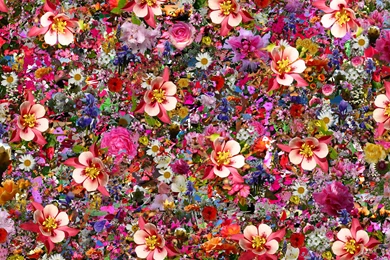 Psychedelic Wallpapers