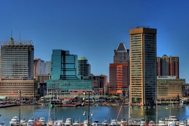 City Baltimore Dual Screen 0ec7b9e1fb Pano Had To