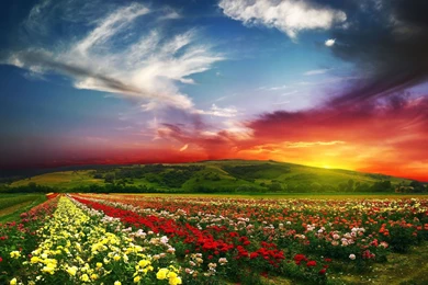 Sunset Images Free Download   Widescreen HD Wallpapers