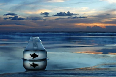 Look At The Sea..   Just Being Positive