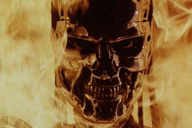 XP Wallpaper, Terminator