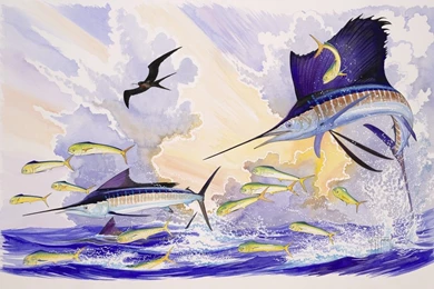 Guy Harvey Art Zoom