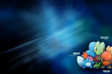 Pokemon   Hoenn Starters Wallpapers By Kniye On DeviantArt
