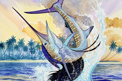 Guy Harvey Wallpaper Images