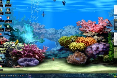 Animated Aquarium Wallpapers For Windows 7 Free Download ...