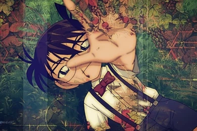 Detective Conan Wallpapers From Don't Wanna Lie By ShidoLionheart ...