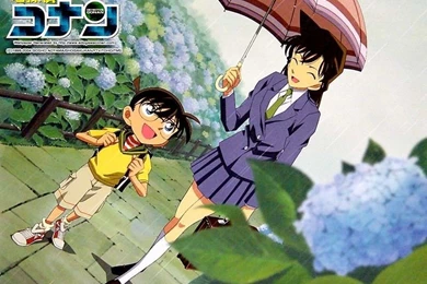 Det. Conan   Detective Conan Wallpapers (9244501)   Fanpop