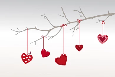 Twig Love Heart Wallpapers Free For Desktop Mob