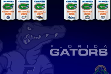 FREE GATOR WALLPAPER