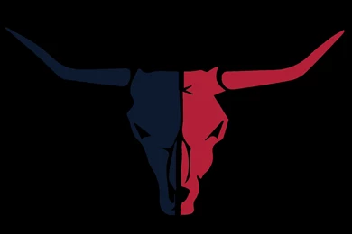 Houston Texans On Pinterest