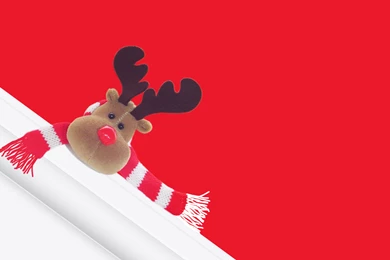 Cute reindeer plush HD wallpaper_5120x3200.jpg