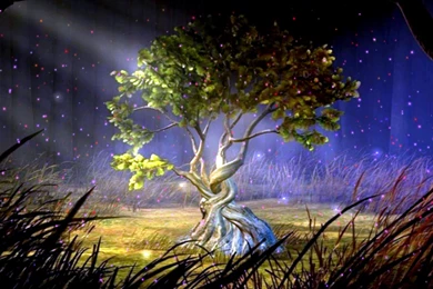 Free HD Animated Backgrounds Mystic Tree Photos Of The Reasons To ...