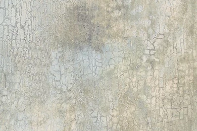 Pre Pasted Wallpapers