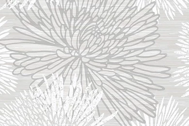 Prepasted Wallpapers