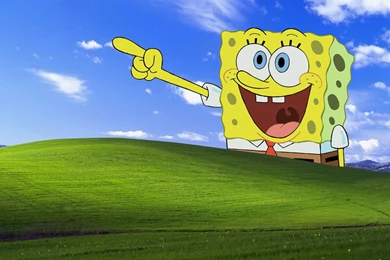 Spongebob Squarepants   Spongebob Squarepants Wallpapers (31312699 ...