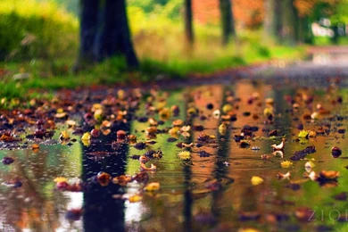 Vacationing In India This Monsoon? Here Are The Top Travel Tips ...