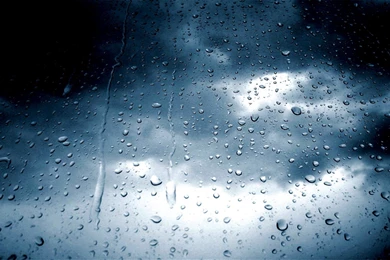 Weather Report: A Balmy 48