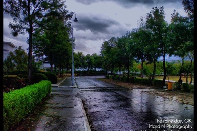 Gallery For   Beautiful Rainy Weather