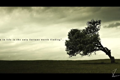 Trololo Blogg: Wallpapers Aim