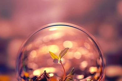 Beautiful iPhone 6 Wallpapers