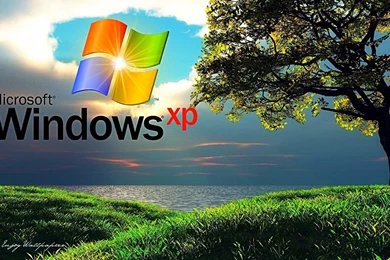 Windows Xp Wallpapers Full Hd Wallpapers Search