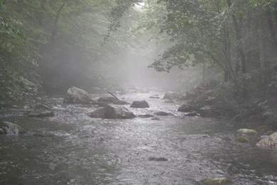 Rainy   Desktop Wallpapers