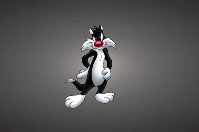 Looney Tunes Awesome HD Backgrounds (Cartoon)   All HD Wallpapers