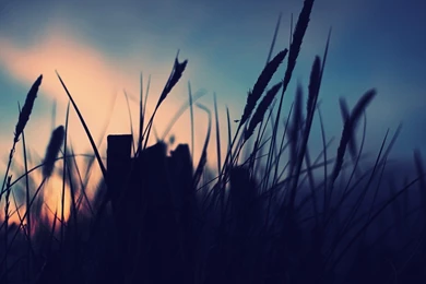 Download Silhouette Photography Wallpapers 1080p