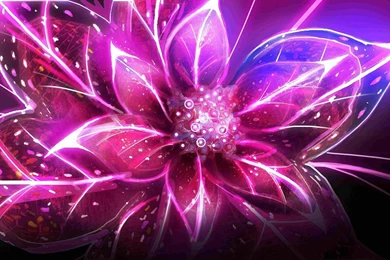 Neon Flowers Wallpapers