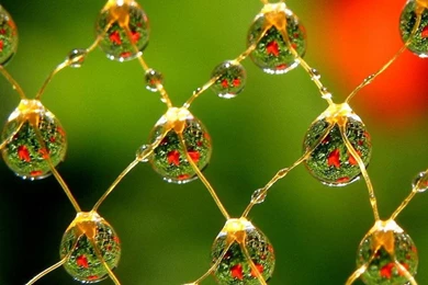 Beautiful Colorful Water Drops Wallpapers