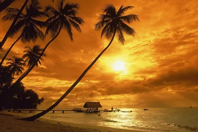 Sunset HD Live Wallpapers