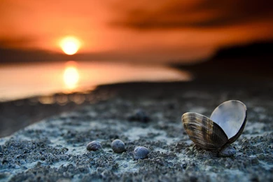 Sea Seashore Wallpapers Sundown HD Images New