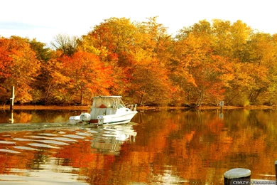 Beautiful Autumn Wallpapers 2   Seasonal   Crazy Frankenstein