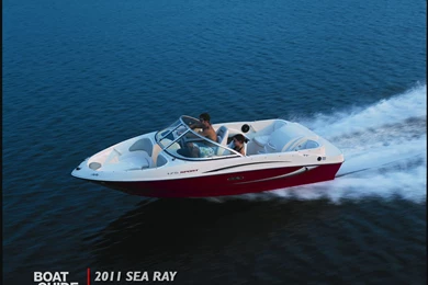 Wallpapers 2011 Sea Ray Sport Series The Boat Guide