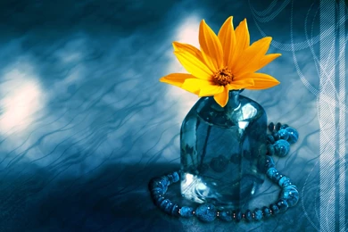 Pictures > 3d Desktop Images Flowers