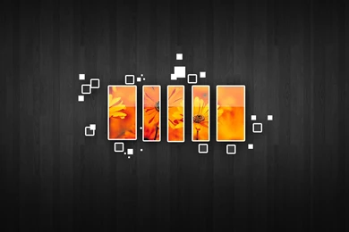 Design HD Wallpapers Tag Image Rope Picture