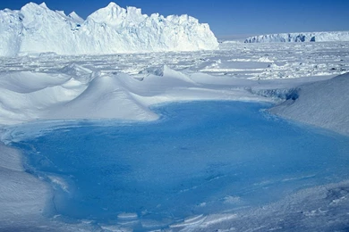 Antarctica Wallpapers   4843
